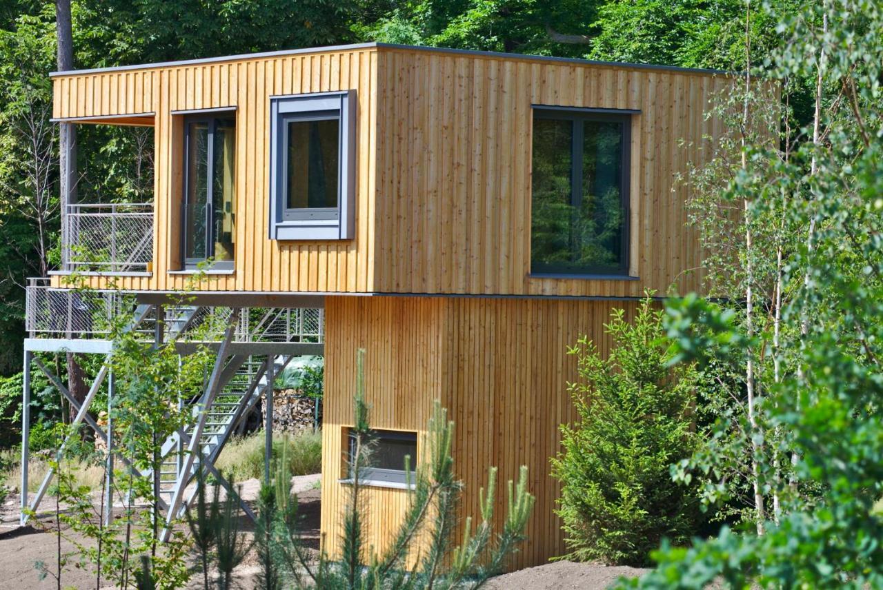 Baumwipfel-Resort "Lug Ins Land" Ilsenburg  Exterior foto
